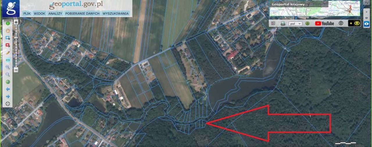 Działka leśna Rochna. Zdjęcie 8