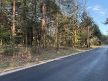 Działka rekreacyjna Wola Polska. Zdjęcie 1