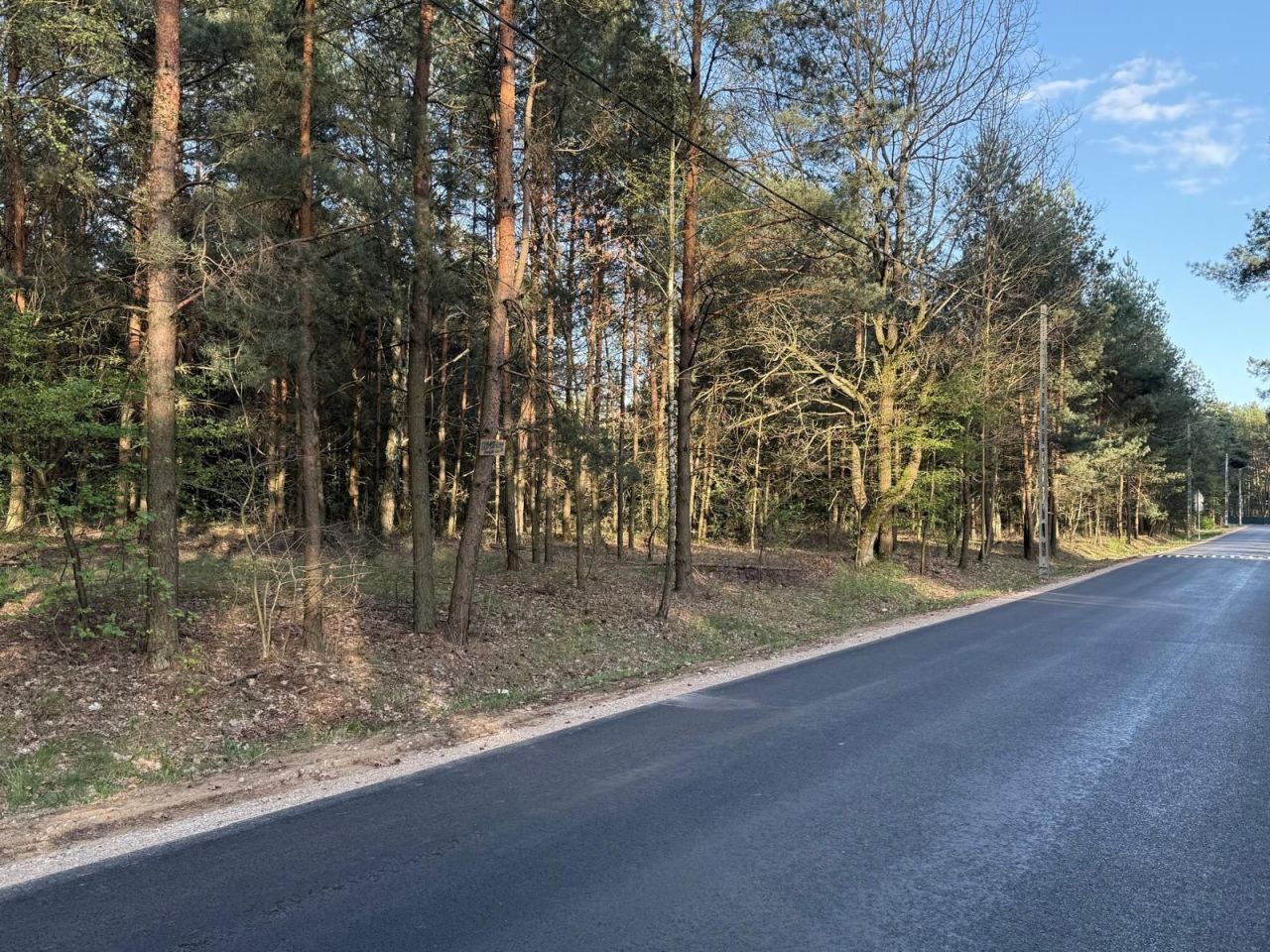 Działka rekreacyjna Wola Polska. Zdjęcie 2