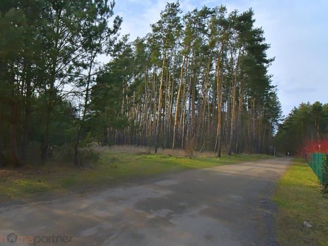 Działka budowlana Miłoszyce, ul. Bzowa. Zdjęcie 5