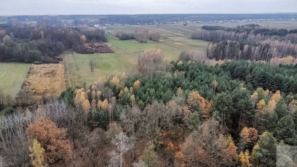 Działka Majdan Sieniawski. Zdjęcie 10