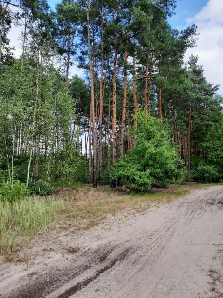 Działka Krzaki Czaplinkowskie. Zdjęcie 4