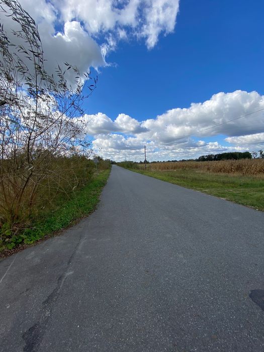 Działka budowlana Adolfin. Zdjęcie 6