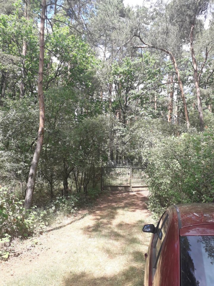 Działka budowlana Mniszew. Zdjęcie 2