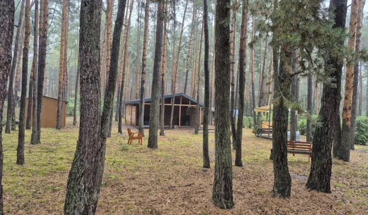 Działka budowlana Kępa Niemojewska