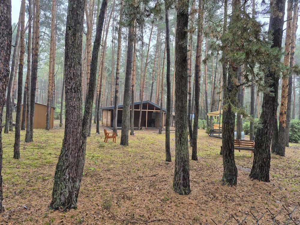 Działka budowlana Kępa Niemojewska. Zdjęcie 1