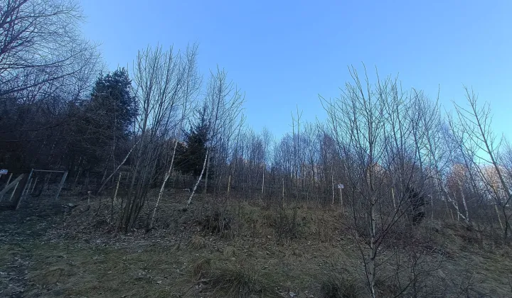 Działka leśna Rzyki Czarny Groń, os. Potrójna