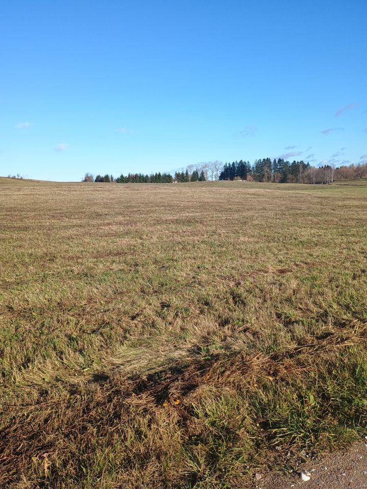 Działka budowlana Żubryn. Zdjęcie 3