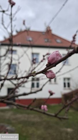 dom wolnostojący, 4 pokoje Oborniki Śląskie, ul. Siemianicka. Zdjęcie 6