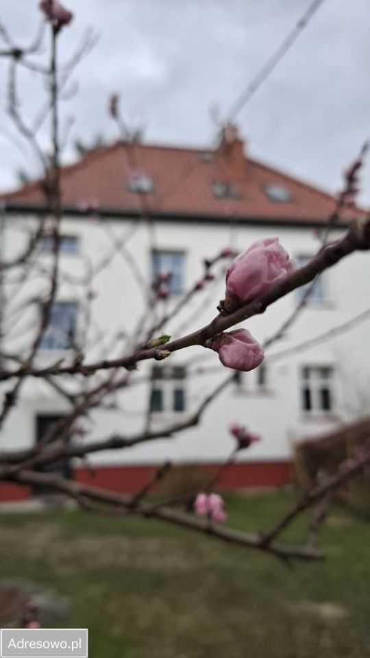 dom wolnostojący, 4 pokoje Oborniki Śląskie, ul. Siemianicka. Zdjęcie 6