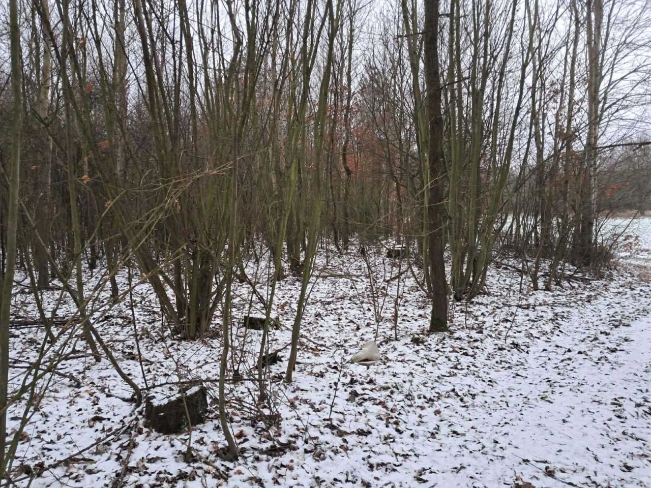 Działka Bukówno Śliwiny. Zdjęcie 5