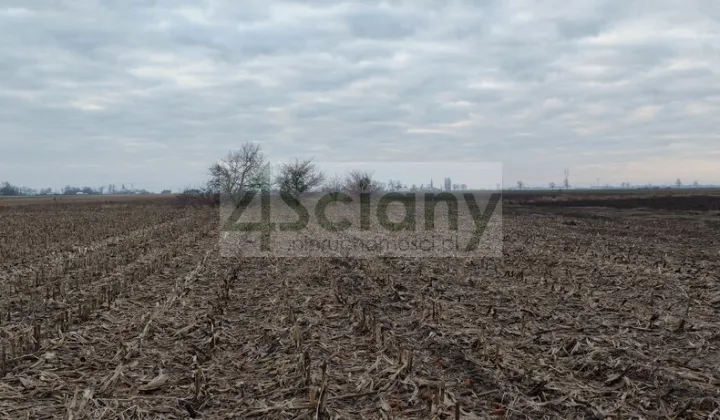 Działka budowlana Zaborówek