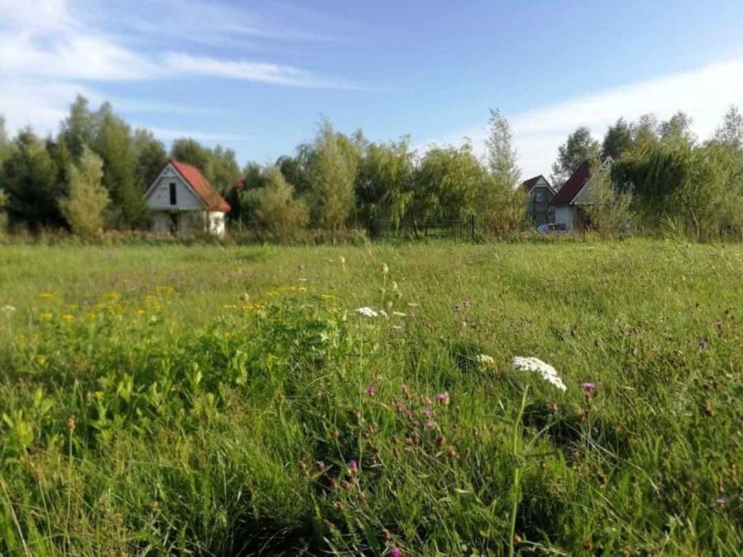 siedlisko Łącko. Zdjęcie 8