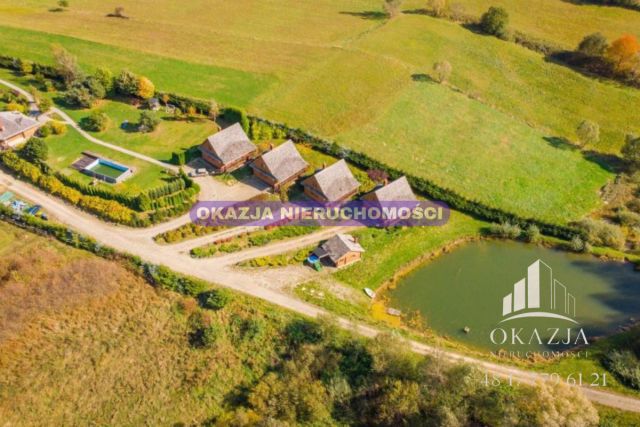 Lokal Równia. Zdjęcie 17