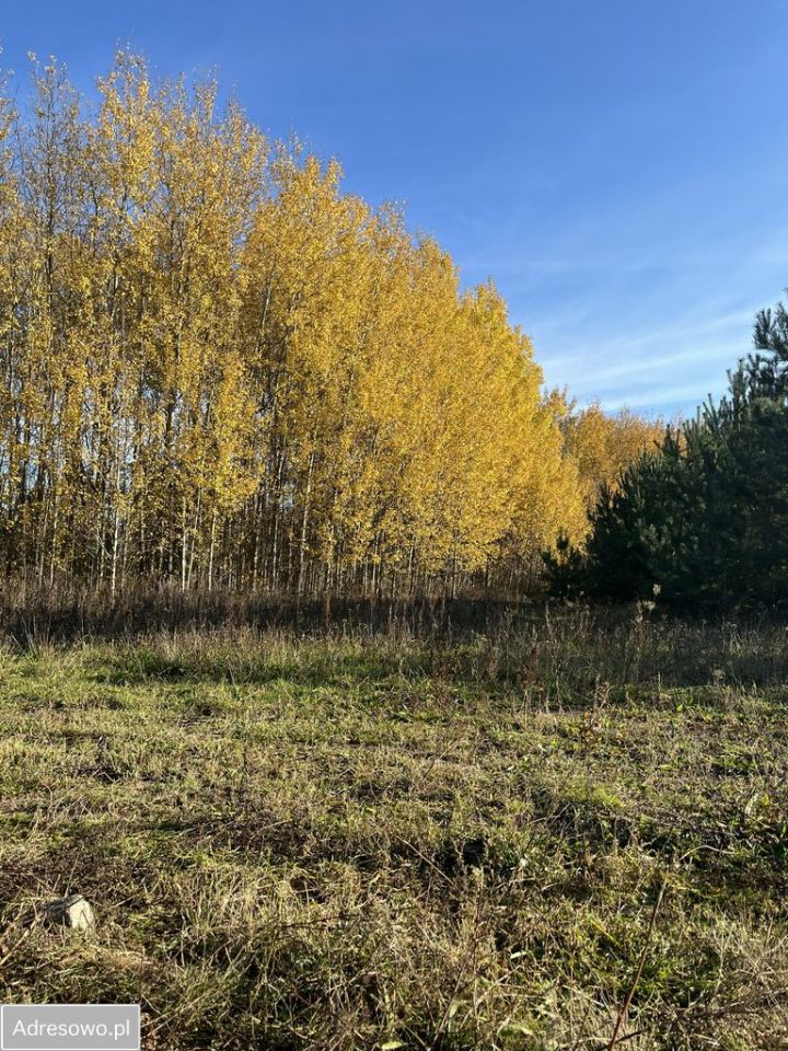 Działka budowlana Owczegłowy. Zdjęcie 7