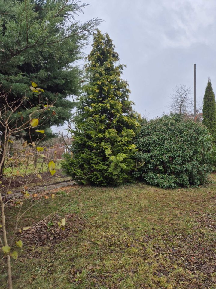 Działka rod Zabrze. Zdjęcie 5