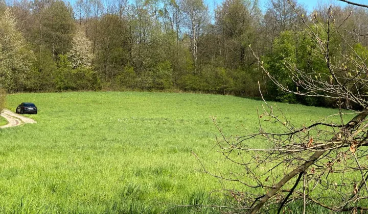 Działka budowlana Dobranowice