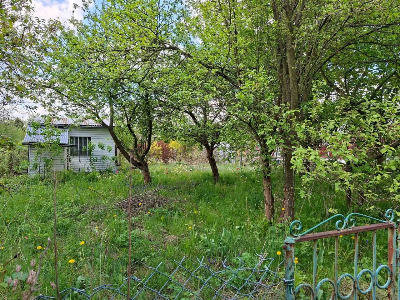 Działka rod Kielce, ul. ks. Piotra Ściegiennego. Zdjęcie 4