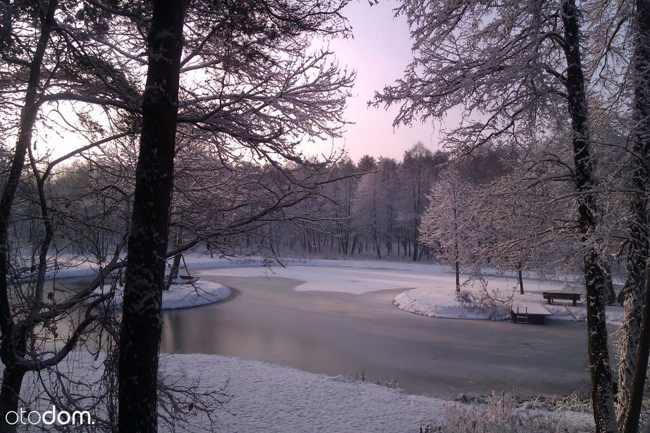 dom wolnostojący, 9 pokoi Przewodowice. Zdjęcie 7