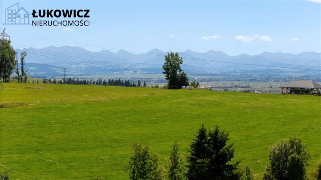 Działka leśna Pieniążkowice. Zdjęcie 13