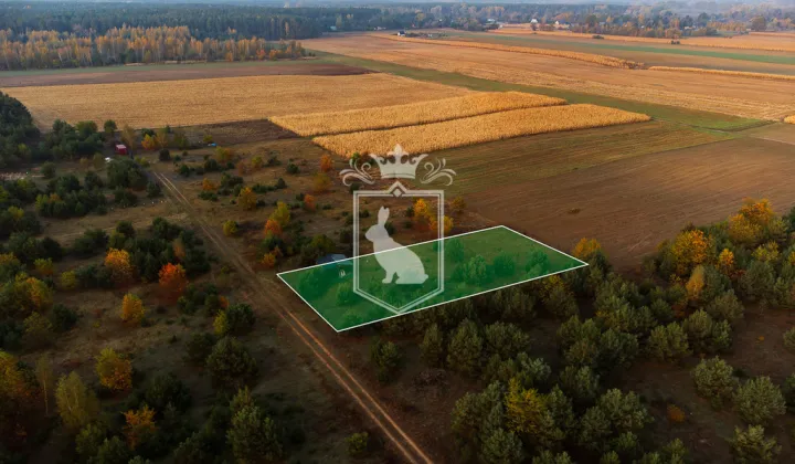 Działka budowlana Gnojno