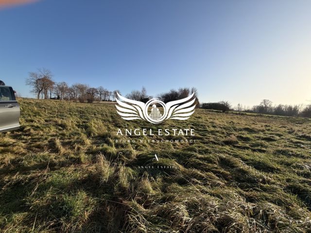 Działka rolna Mirosławice. Zdjęcie 3