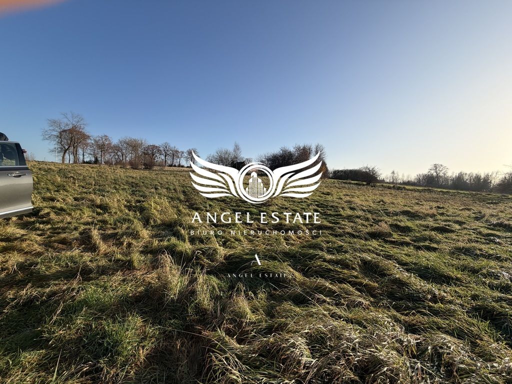 Działka rolna Mirosławice. Zdjęcie 3