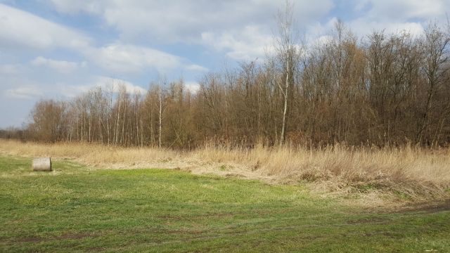 Działka inna Kaniów. Zdjęcie 2