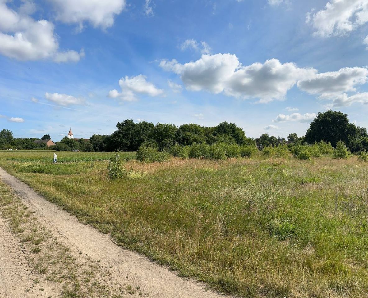 Działka budowlana Strzegów. Zdjęcie 10