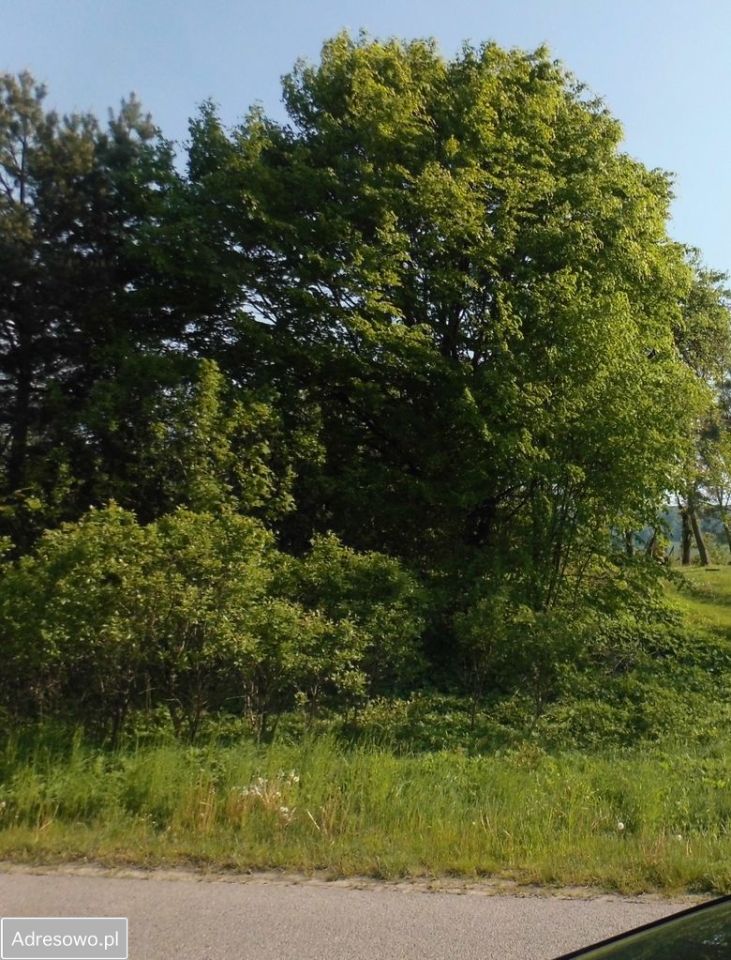 Działka rolna Szypowice. Zdjęcie 4