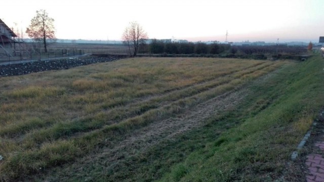 Działka rolna Piaseczno. Zdjęcie 1