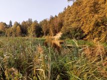 Działka rolna Wda. Zdjęcie 2