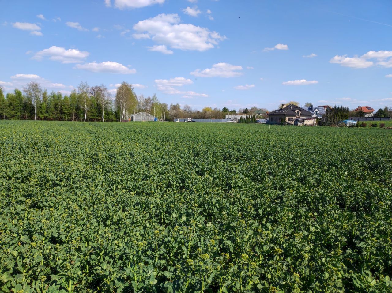 Działka budowlana Piotrków Trybunalski Belzatka, ul. Świerkowa
