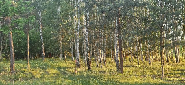 Działka budowlana Łukawska Wola. Zdjęcie 1
