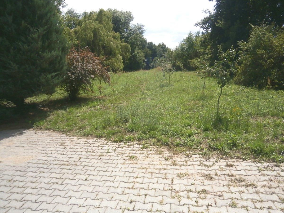 dom wolnostojący, 10 pokoi Krosno Odrzańskie. Zdjęcie 4