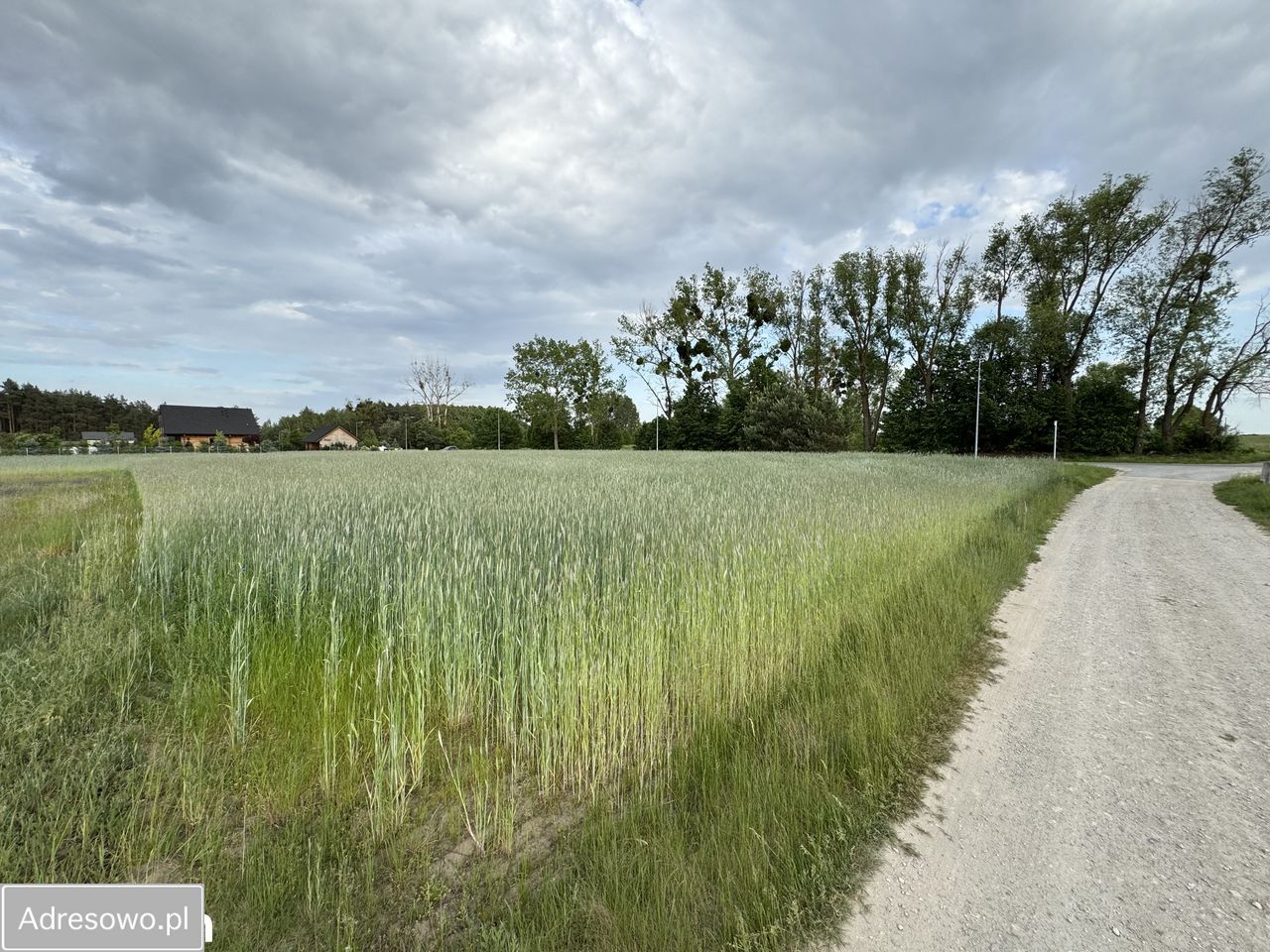 Działka budowlana Sadłogoszcz. Zdjęcie 7