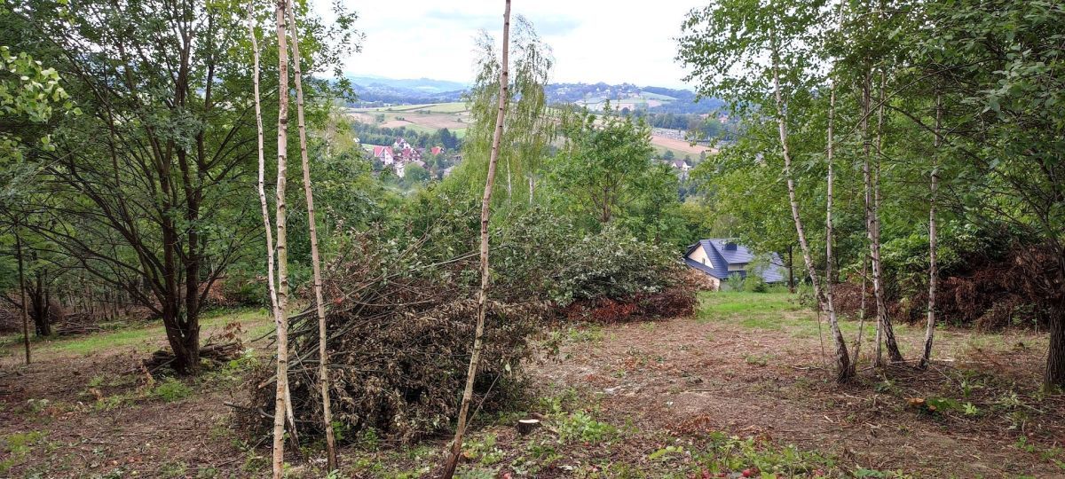 dom wolnostojący, 6 pokoi Żegocina. Zdjęcie 6