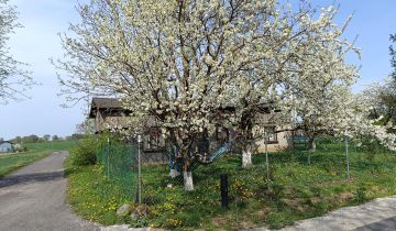 dom wolnostojący, 3 pokoje Brudzawki