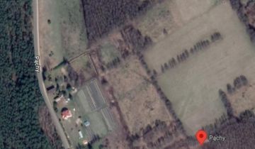 Działka Pąchy