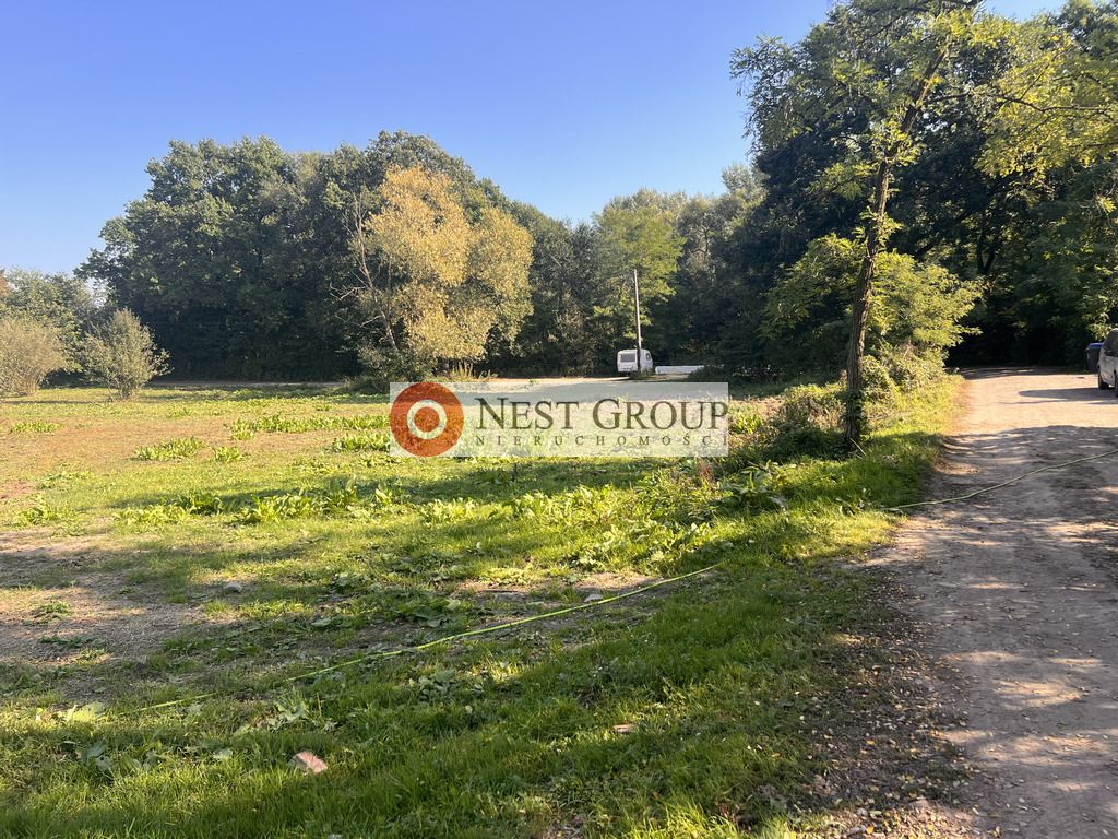 Działka inwestycyjna Skierdy, ul. Lipowa. Zdjęcie 11