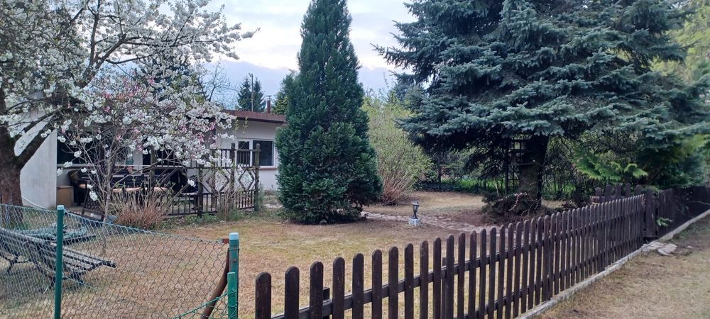 Działka rod Poznań Ławica. Zdjęcie 6