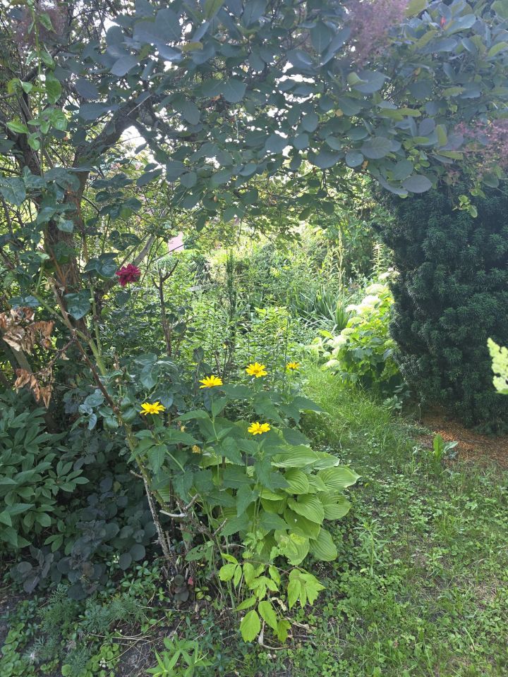 Działka rod Łódź Polesie, ul. Nowe Sady. Zdjęcie 3