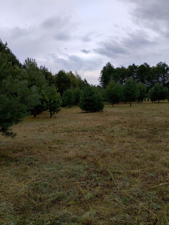 Działka budowlana Adamowo. Zdjęcie 6
