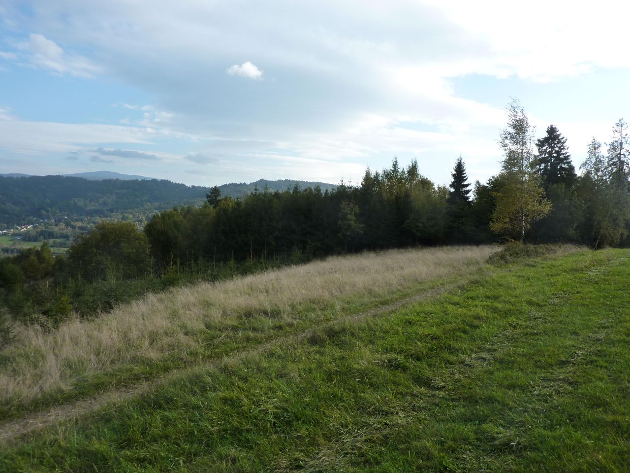 Działka rolna Pewel Wielka Garleje. Zdjęcie 2