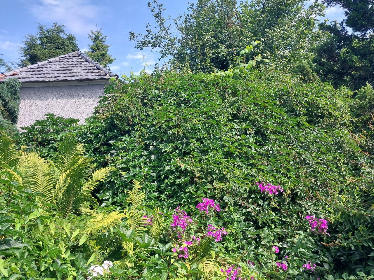 dom wolnostojący, 6 pokoi Zbrosławice, ul. Wolności. Zdjęcie 10