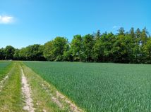 Działka budowlana Lipno. Zdjęcie 2