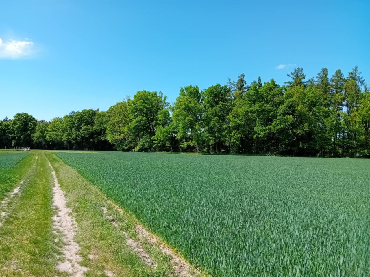 Działka budowlana Lipno. Zdjęcie 3