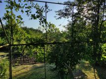 Działka rod Wilkanowo. Zdjęcie 3