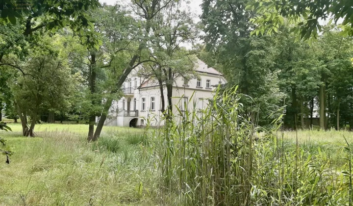 Nieruchomość komercyjna Bojanowo