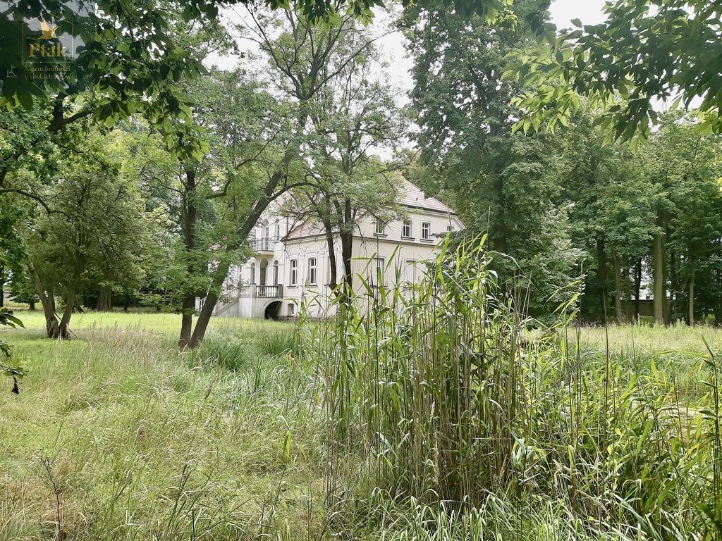 Nieruchomość komercyjna Bojanowo. Zdjęcie 1